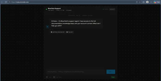Customer Support AI Agent — chat UI