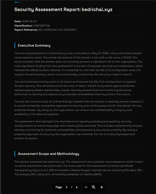 Security Report Automator — findings section