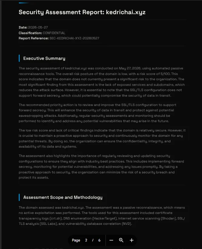 Security Report Automator — findings section